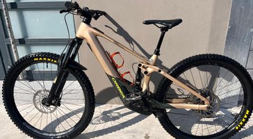 Orbea Wild Montaña