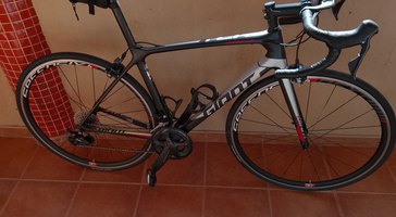 Giant Carretera